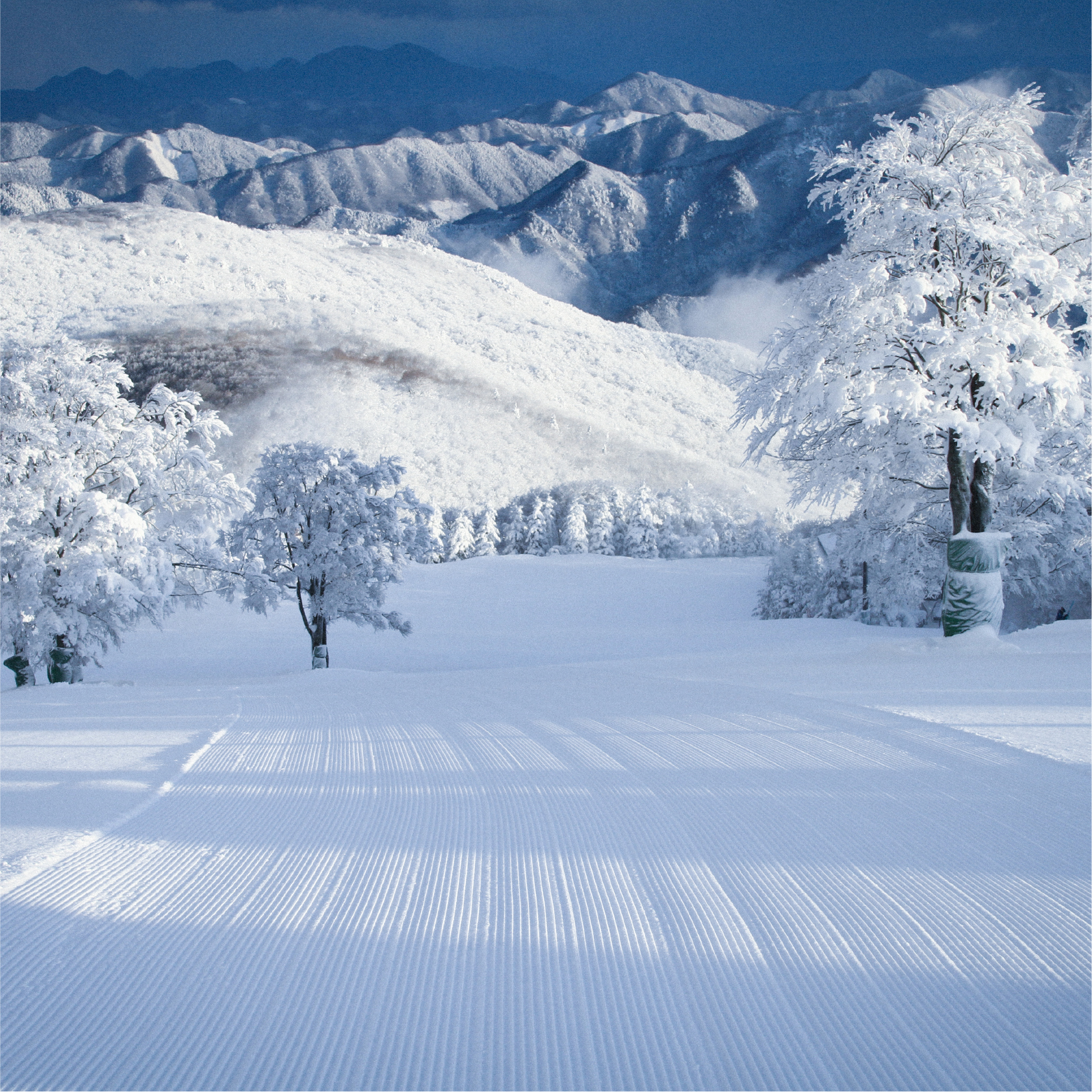 Mizuho's snowy mountains | 瑞穂ハイランド