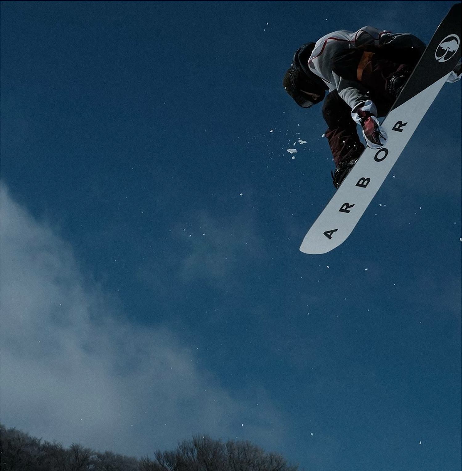 SnowResort